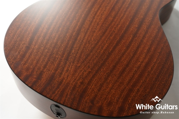 312ce 12Fret V-Class